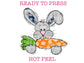 Carrot The Boy Easter Bunny Easter DTF TRANSFER