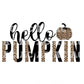 Leopard Hello Pumpkin DTF TRANSFER or UV DTF STICKER DECAL
